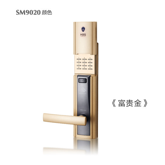 彭水海贝斯智能锁 SM9020感应卡智能锁