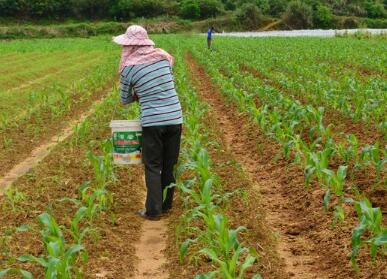 黄冈种植公司起名字大全免费276个