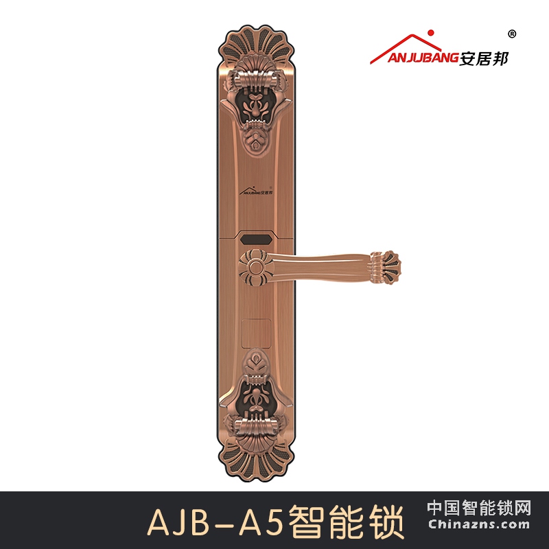 樟树安居邦家用智能锁 磁卡锁 指纹锁AJB-A5