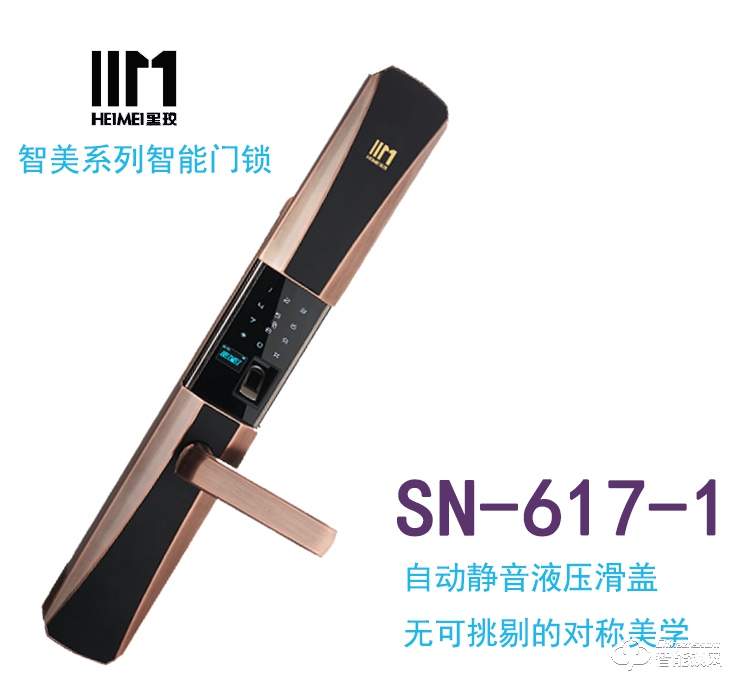 亭湖区黑玫智能锁 SN-617家用防盗智能锁感应卡锁