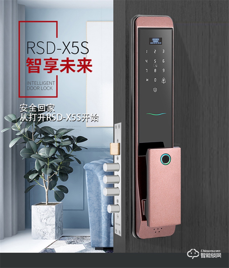 中国台湾荣事达智能锁RSD-X5S 全自动家用智能锁