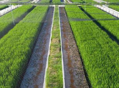 绵阳养殖种植家庭农场起名大全