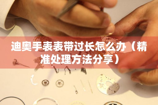  迪奥手表表带过长怎么办（精准处理方法分享） 手表维修知识库