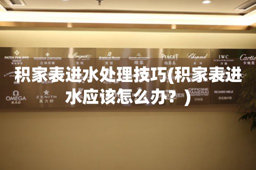  积家表进水处理技巧(积家表进水应该怎么办？) 手表维修知识库