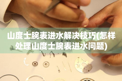  山度士腕表进水解决技巧(怎样处理山度士腕表进水问题) 手表维修知识库