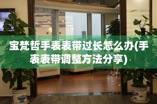  宝梵哲手表表带过长怎么办(手表表带调整方法分享) 手表维修知识库