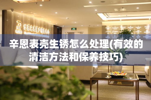  辛恩表壳生锈怎么处理(有效的清洁方法和保养技巧) 手表维修知识库