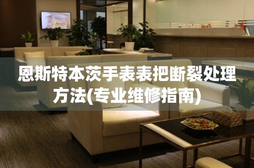  恩斯特本茨手表表把断裂处理方法(专业维修指南) 手表维修知识库