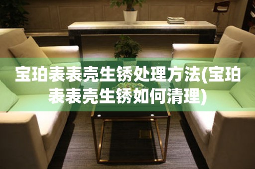  宝珀表表壳生锈处理方法(宝珀表表壳生锈如何清理) 手表维修知识库