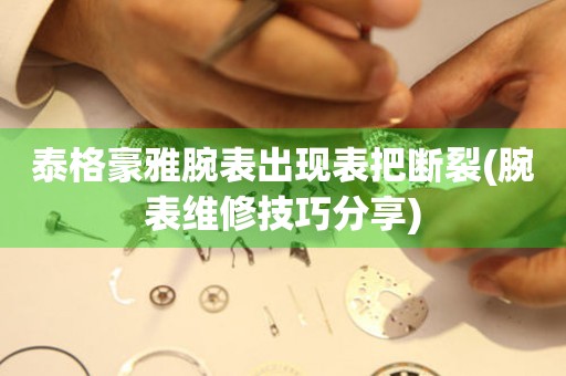  泰格豪雅腕表出现表把断裂(腕表维修技巧分享) 手表维修知识库