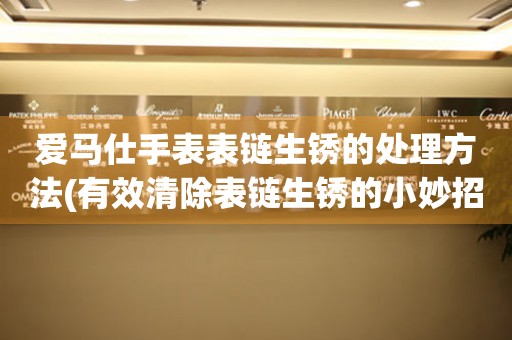  爱马仕手表表链生锈的处理方法(有效清除表链生锈的小妙招) 手表维修知识库