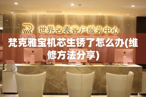  梵克雅宝机芯生锈了怎么办(维修方法分享) 手表维修知识库