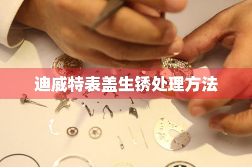  迪威特表盖生锈处理方法 手表维修知识库