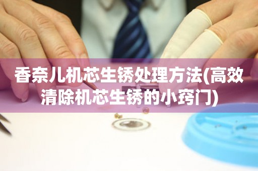  香奈儿机芯生锈处理方法(高效清除机芯生锈的小窍门) 手表维修知识库