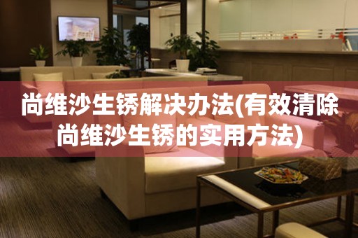  尚维沙生锈解决办法(有效清除尚维沙生锈的实用方法) 手表维修知识库