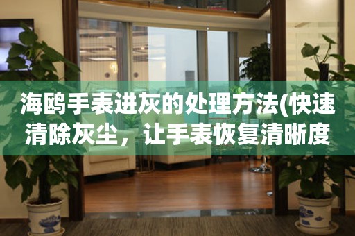  海鸥手表进灰的处理方法(快速清除灰尘，让手表恢复清晰度) 手表维修知识库