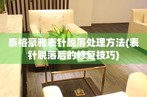  泰格豪雅表针脱落处理方法(表针脱落后的修复技巧) 手表维修知识库