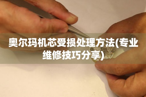  奥尔玛机芯受损处理方法(专业维修技巧分享) 手表维修知识库