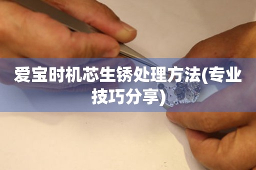  爱宝时机芯生锈处理方法(专业技巧分享) 手表维修知识库