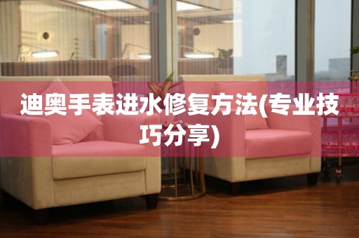  迪奥手表进水修复方法(专业技巧分享) 手表维修知识库
