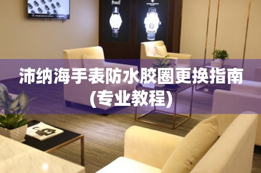  沛纳海手表防水胶圈更换指南(专业教程) 手表维修知识库