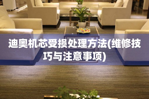  迪奥机芯受损处理方法(维修技巧与注意事项) 手表维修知识库