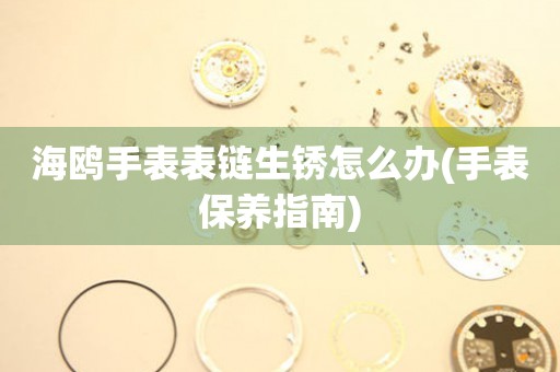  海鸥手表表链生锈怎么办(手表保养指南) 手表维修知识库