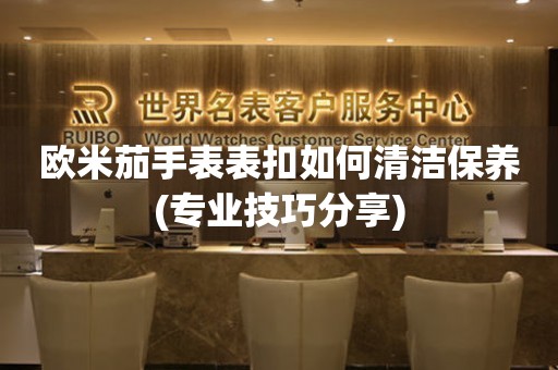  欧米茄手表表扣如何清洁保养(专业技巧分享) 手表维修知识库