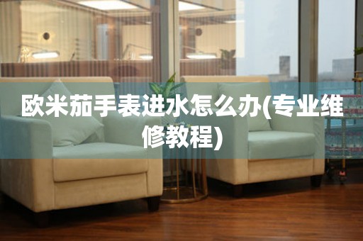  欧米茄手表进水怎么办(专业维修教程) 手表维修知识库