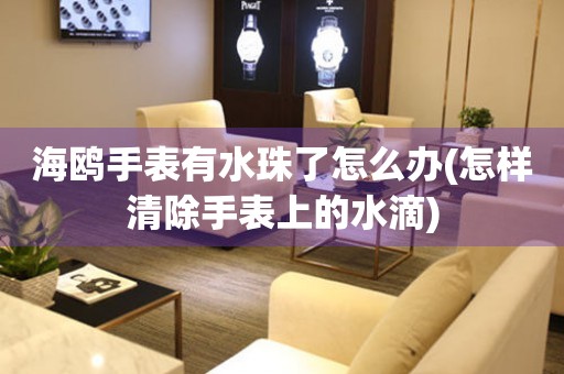  海鸥手表有水珠了怎么办(怎样清除手表上的水滴) 手表维修知识库