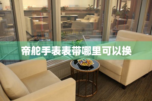  帝舵手表表带哪里可以换 手表维修知识库