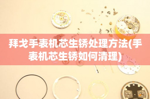  拜戈手表机芯生锈处理方法(手表机芯生锈如何清理) 手表维修知识库