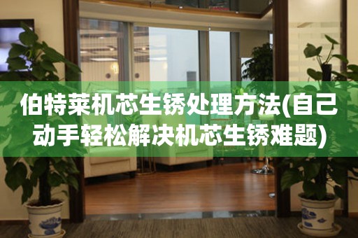 伯特莱机芯生锈处理方法(自己动手轻松解决机芯生锈难题) 手表维修知识库