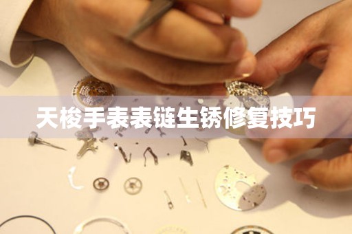  天梭手表表链生锈修复技巧 手表维修知识库