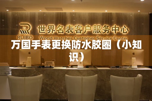  万国手表更换防水胶圈（小知识） 手表维修知识库