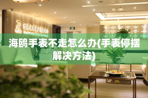  海鸥手表不走怎么办(手表停摆解决方法) 手表维修知识库