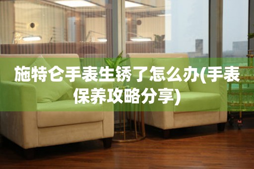  施特仑手表生锈了怎么办(手表保养攻略分享) 手表维修知识库