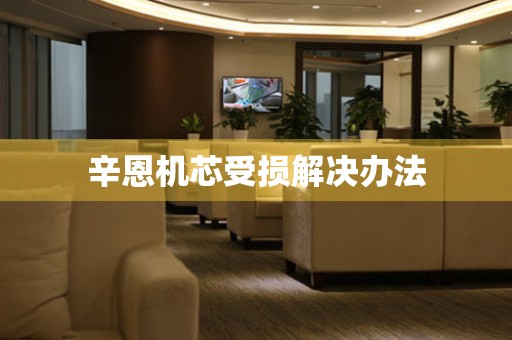  辛恩机芯受损解决办法 手表维修知识库