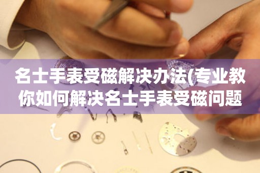  名士手表受磁解决办法(专业教你如何解决名士手表受磁问题) 手表维修知识库