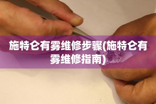 施特仑有雾维修步骤(施特仑有雾维修指南) 手表维修知识库