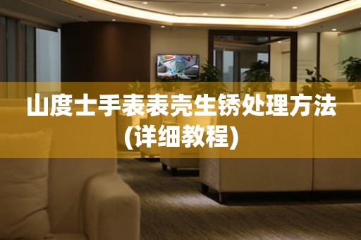  山度士手表表壳生锈处理方法(详细教程) 手表维修知识库