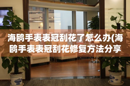  海鸥手表表冠刮花了怎么办(海鸥手表表冠刮花修复方法分享) 手表维修知识库