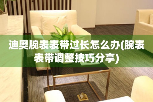  迪奥腕表表带过长怎么办(腕表表带调整技巧分享) 手表维修知识库