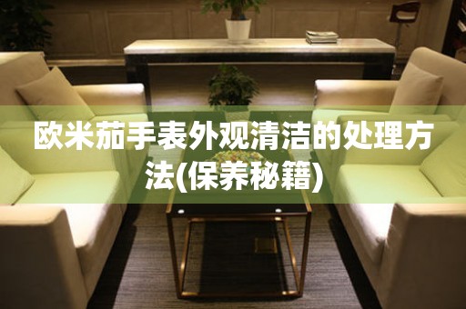  欧米茄手表外观清洁的处理方法(保养秘籍) 手表维修知识库