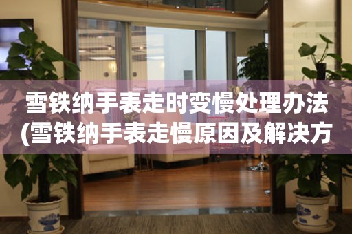  雪铁纳手表走时变慢处理办法(雪铁纳手表走慢原因及解决方法) 手表维修知识库