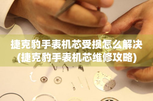  捷克豹手表机芯受损怎么解决(捷克豹手表机芯维修攻略) 手表维修知识库