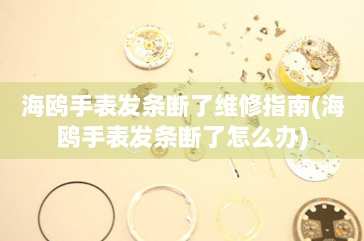  海鸥手表发条断了维修指南(海鸥手表发条断了怎么办) 手表维修知识库