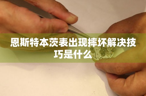  恩斯特本茨表出现摔坏解决技巧是什么 手表维修知识库