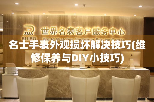  名士手表外观损坏解决技巧(维修保养与DIY小技巧) 手表维修知识库