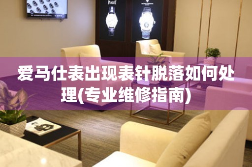  爱马仕表出现表针脱落如何处理(专业维修指南) 手表维修知识库